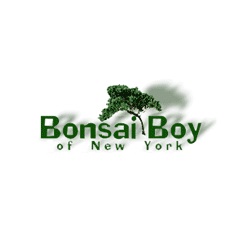 Bonsai Boy of New York Logo