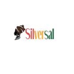 SilverSal Logo